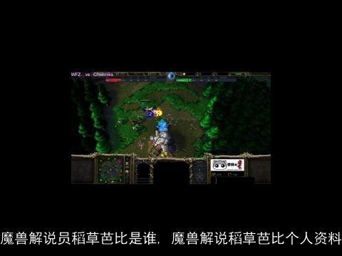 魔兽解说员稻草芭比是谁, 魔兽解说稻草芭比个人资料